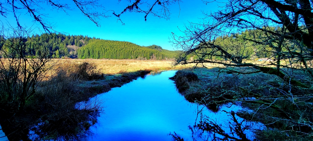 Beaver Creek